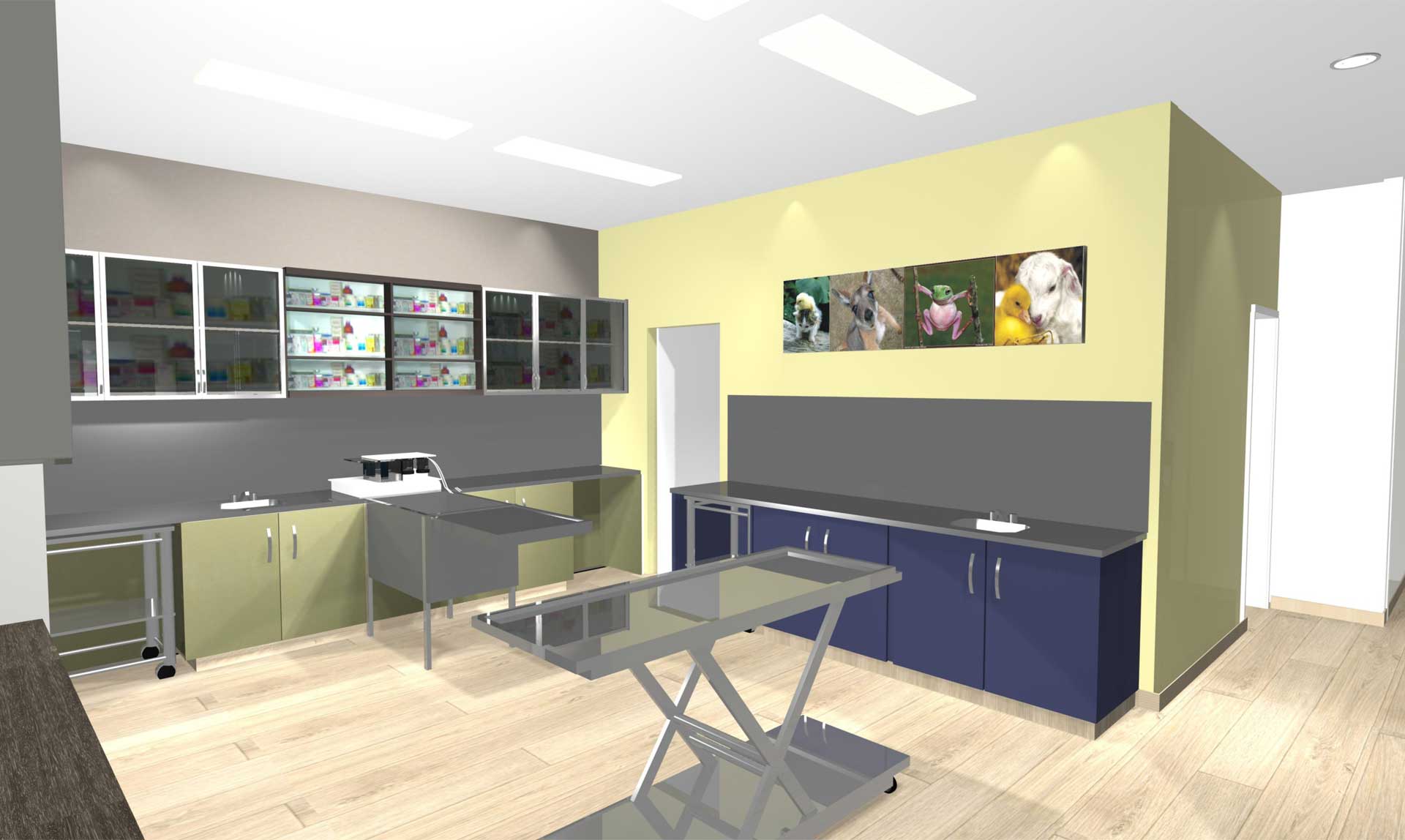 Mornington Veterinary Clinic Medifit Design & Construct Award Winning Medical and Dental